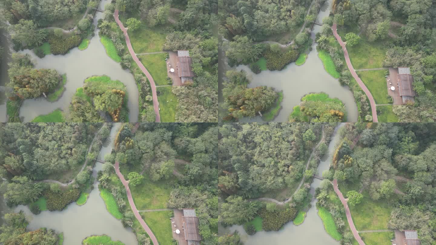 桤木河湿地公园