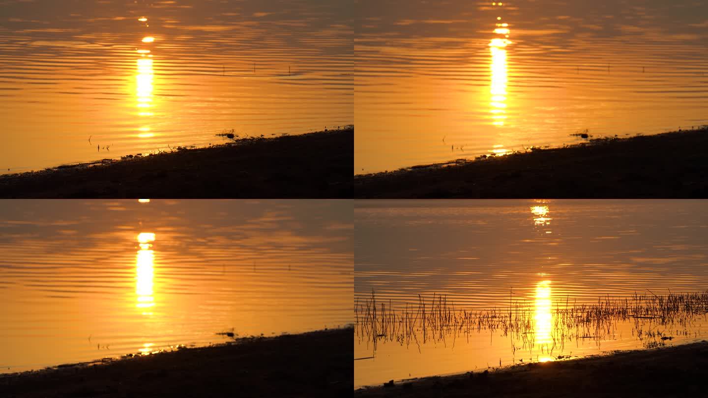 4K日出日落金色湖面水波荡漾