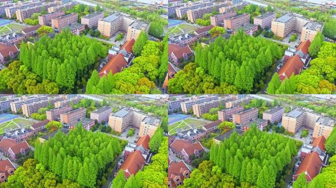 4K上海理工大学校园 航拍视频