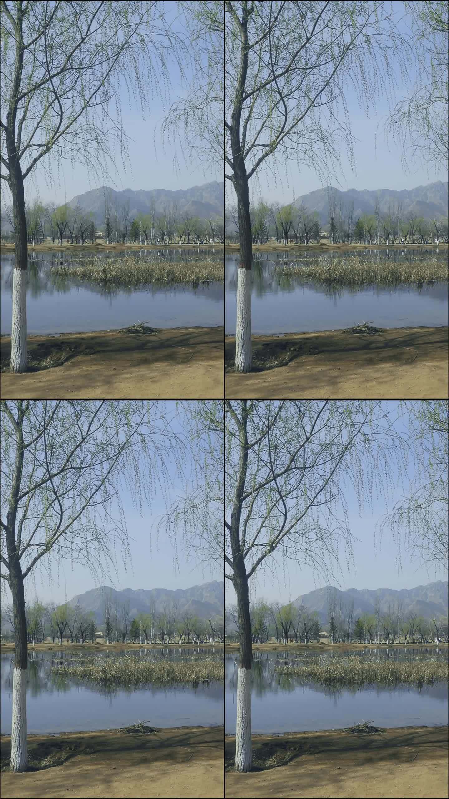 短视频背景竖屏水边2