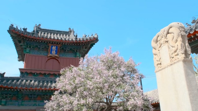 北京智化寺钟楼鼓楼春天丁香花盛开