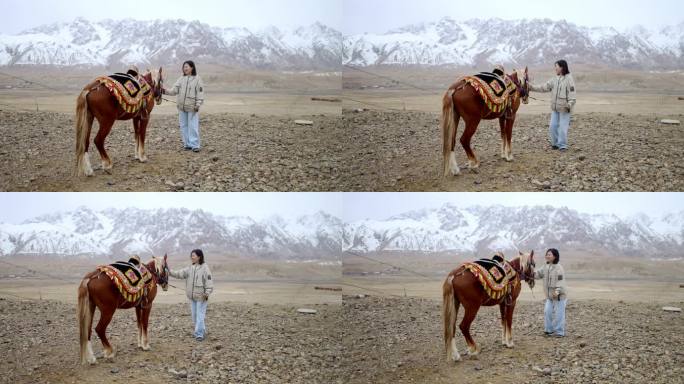 （慢镜）年轻女子在雪山下牵着英俊的马