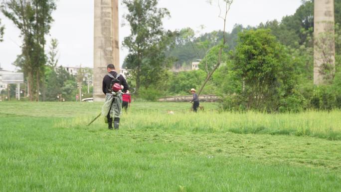 草地护理  春季气息  修剪草皮