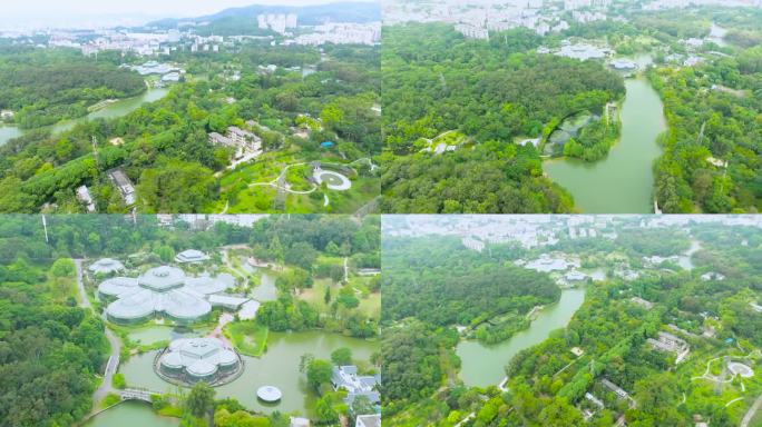 广州的华南国家植物园
