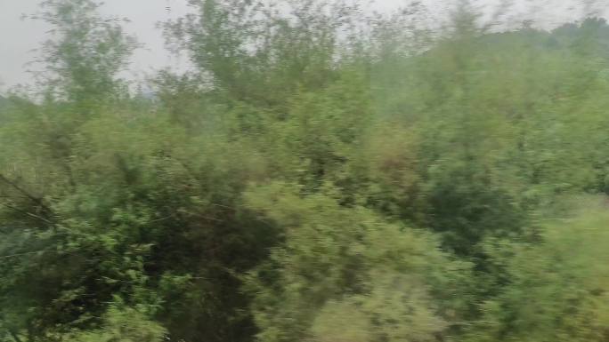 绿皮火车上的乘客返乡回家过年火车窗外风景