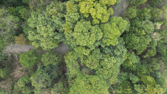 风景人物