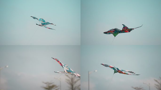 油菜花田上飞的风筝