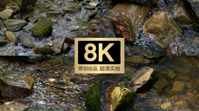 8K原创素材丨大自然森林清澈小溪