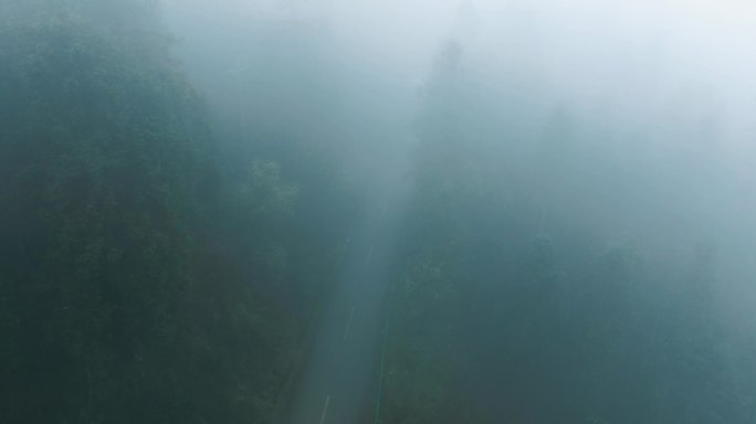 越野车在大雾森林深山中行驶