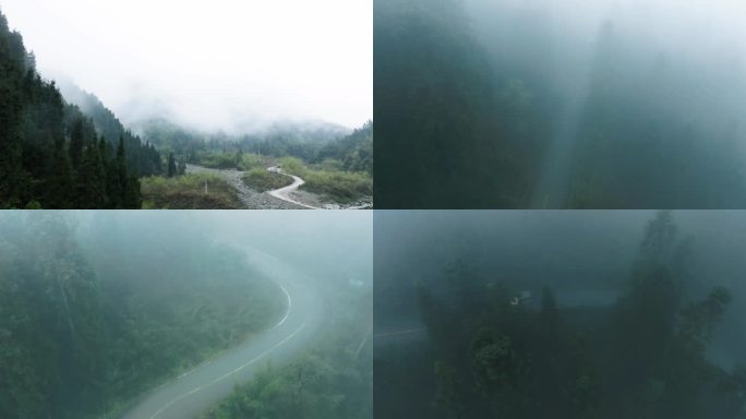 越野车在大雾森林深山中行驶