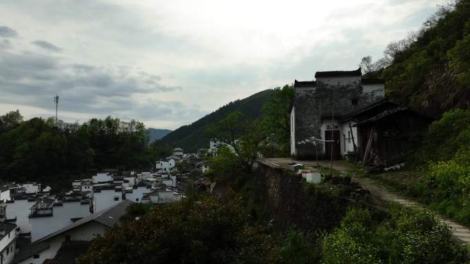 山区茶园地新叶美丽乡房屋种植绿水青山河流