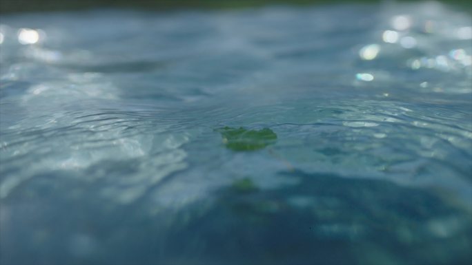 落叶在水中飘过清澈的水流 清澈溪水 泉水