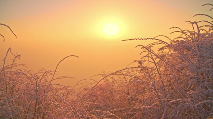 峨眉山金顶 雪景 峨眉山日出 峨眉山云海