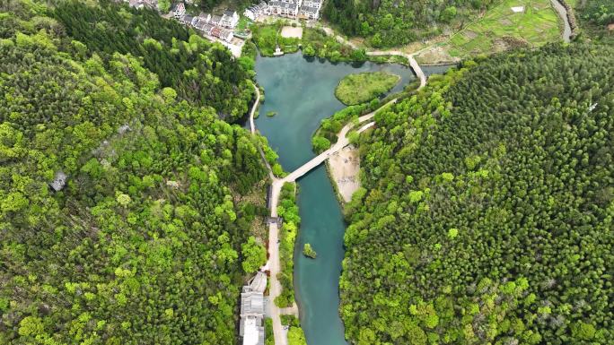 山区茶园地新叶美丽乡房屋种植绿水青山河流