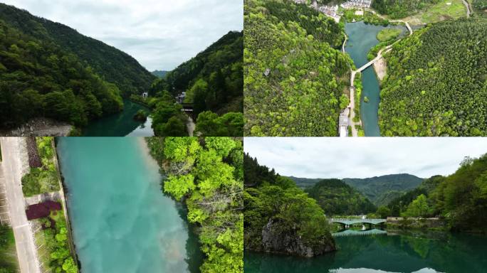 山区茶园地新叶美丽乡房屋种植绿水青山河流