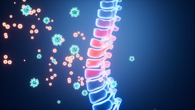 人类脊椎脊柱模型和药物治疗动画