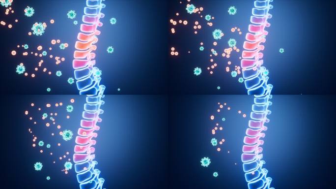 人类脊椎脊柱模型和药物治疗动画