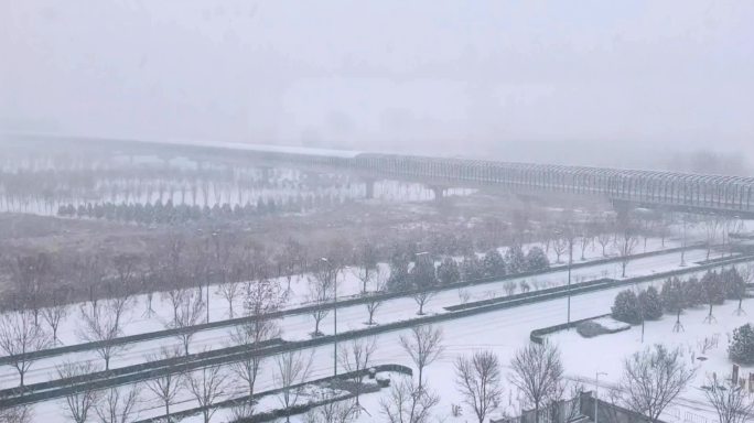 窗外大雪 空旷 物流 工业 平静