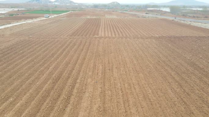 农田 黄土地 农田 庄稼地 土地 田野