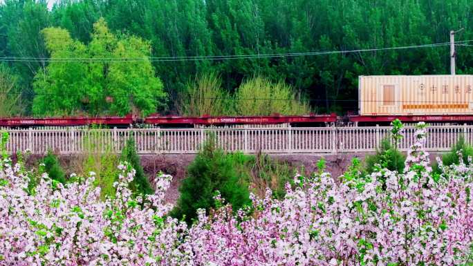 和谐号货运火车 中国铁路 春天的火车