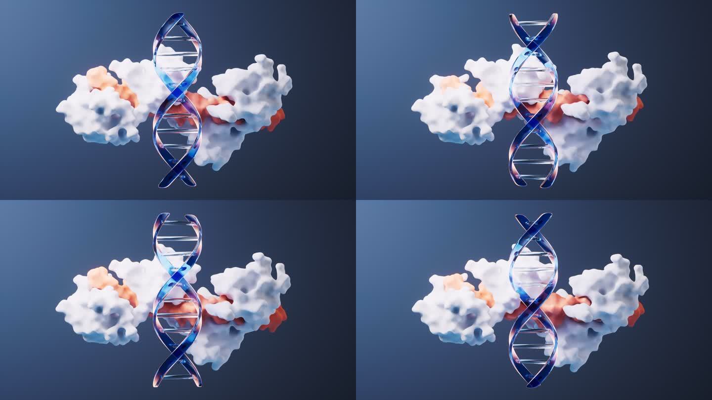 生物科技DNA与蛋白质循环动画3D渲染