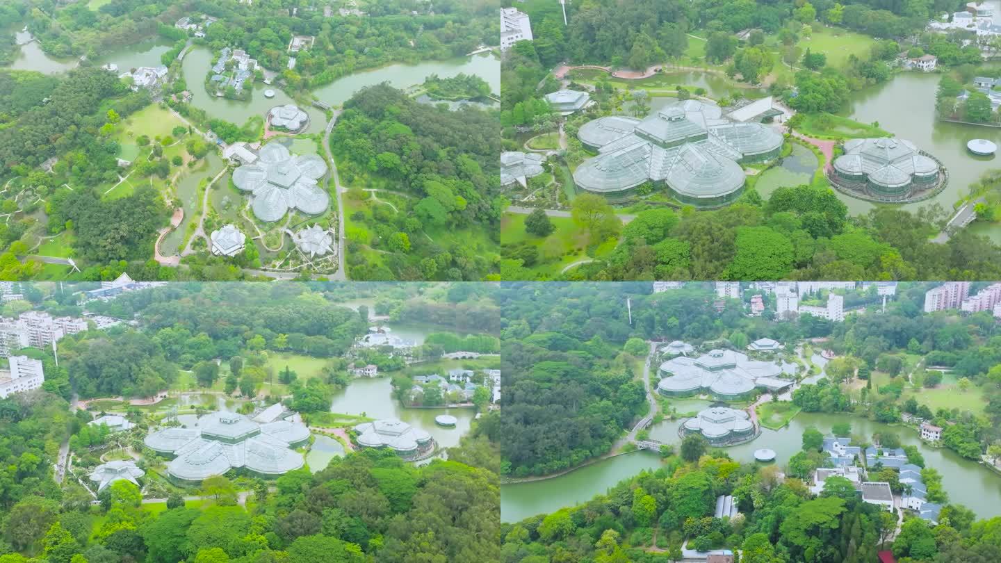 华南国家植物园的温室群