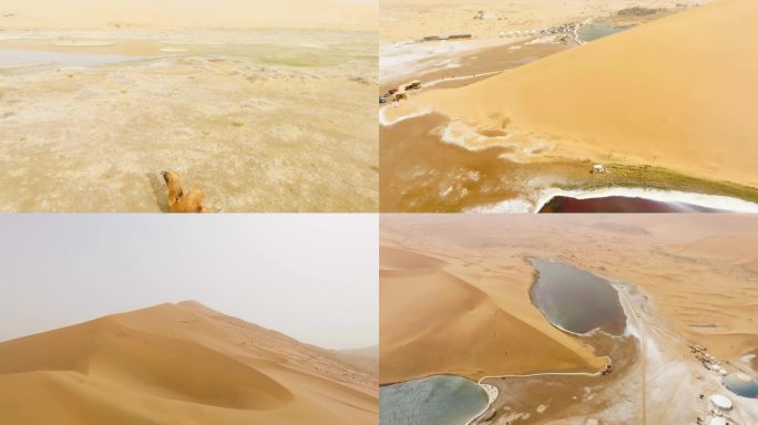 航拍巴丹吉林沙漠沙漠珠峰绿洲骆驼