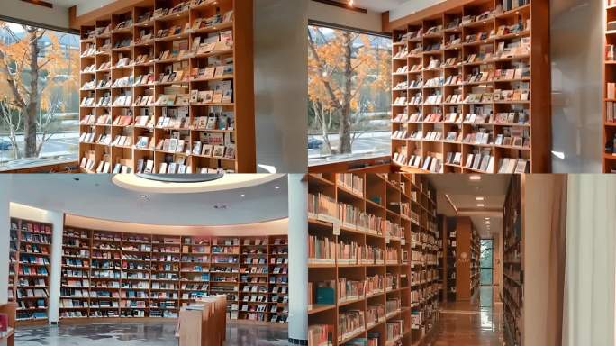 图书馆图书展现阅读书架借书借阅阅览室素材