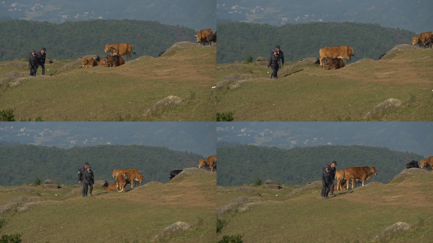 户外运动徒步旅行登山攀登