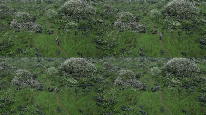 自然风光徒步旅行风景人物山地小路