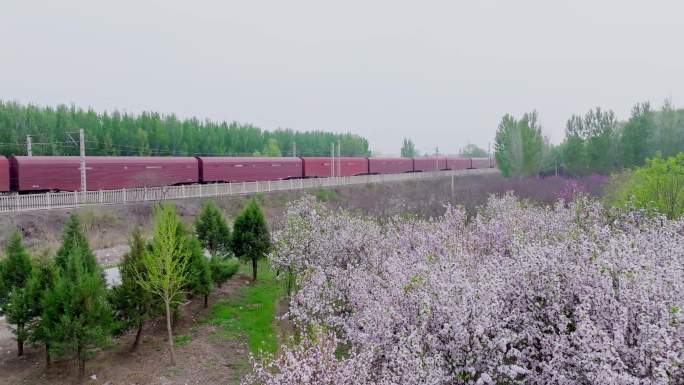中国铁路和谐号货运火车 航拍春天的火车