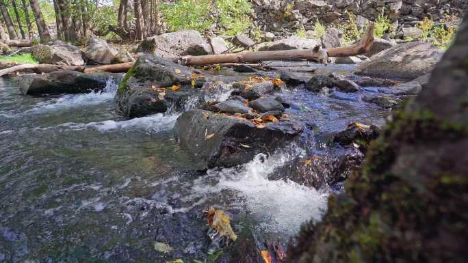 阿尔山山间流水