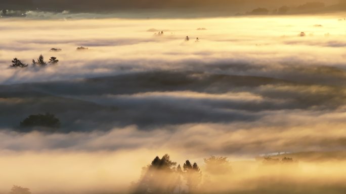 云雾缭绕生态保护环境清晨曦自然风光丁达尔