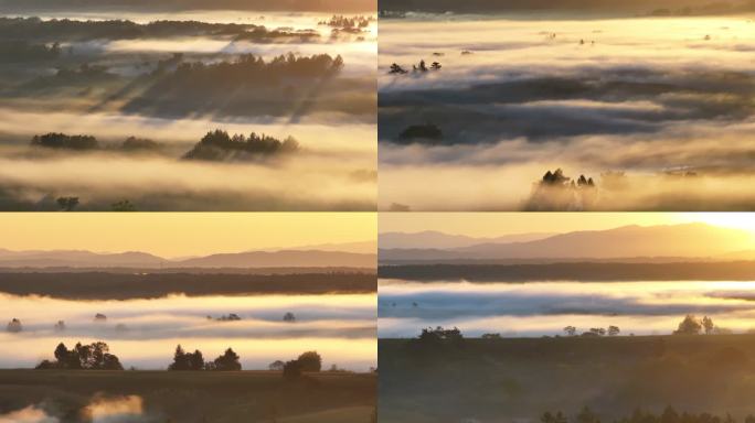 云雾缭绕生态保护环境清晨曦自然风光丁达尔