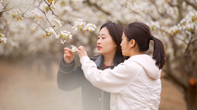 【4K】 乡村旅游 手机拍花 赏花的女孩