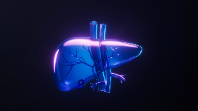 肝脏与霓虹灯光效果循环动画3D渲染