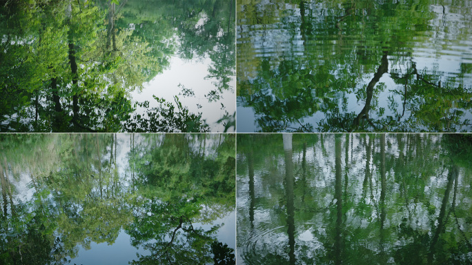平静湖面水树林水中倒影水面意境
