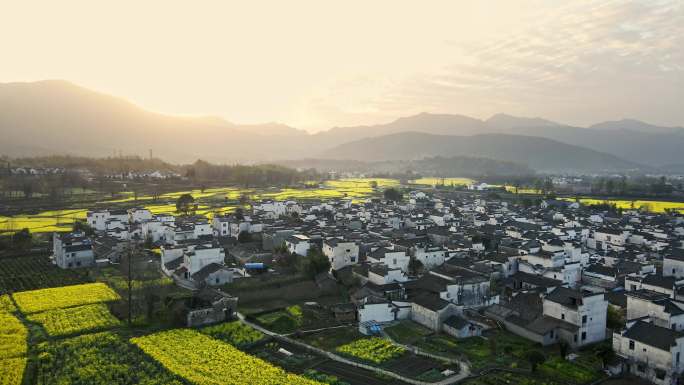 安徽卢村油菜花海日出航拍