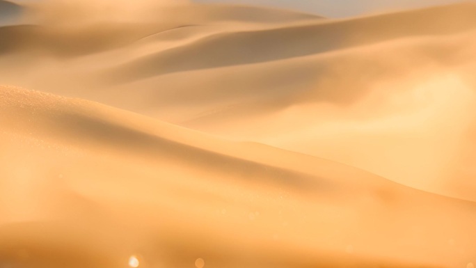 金沙沙漠