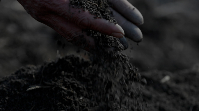 黑土地黑土壤播种玉米黑士种植手捧土壤