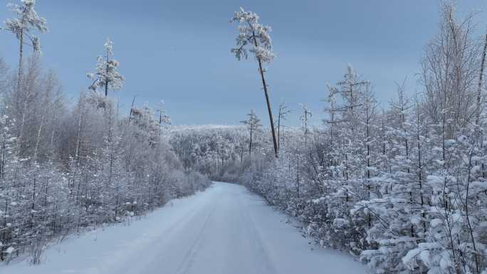 寒冬冰雪路雾凇山路