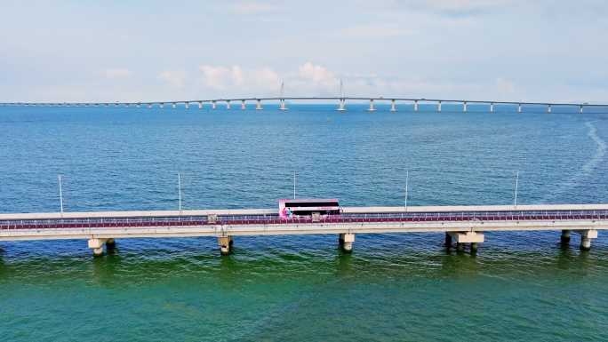 珠海拱北湾/粉红色观光巴士/港珠澳大桥
