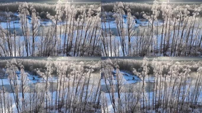 东北冰河晶莹树挂冻雾阳光