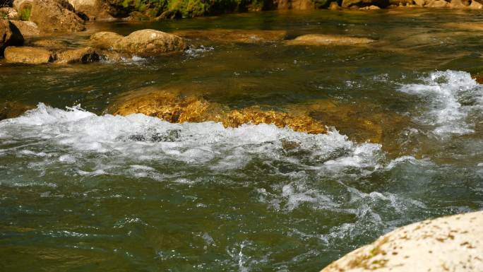 水 流水 生态 自然 河流 溪流 水域