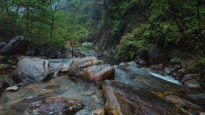 云雾森林山间泉水溪水河流石头