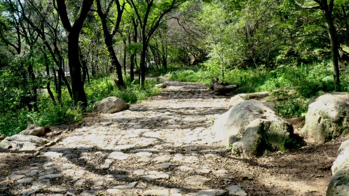 深山古道山路 古道 石板路 琅琊山