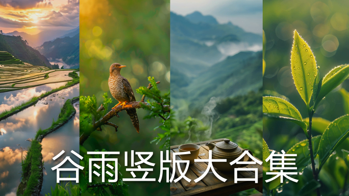 清明谷雨竖版大合集