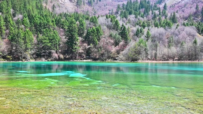 九寨沟五颜六色的水