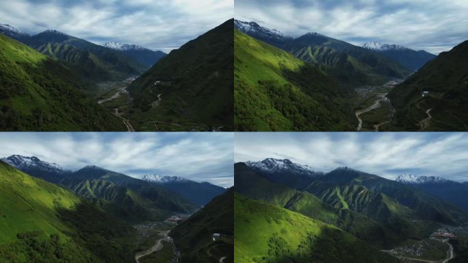 川西高原青山白头