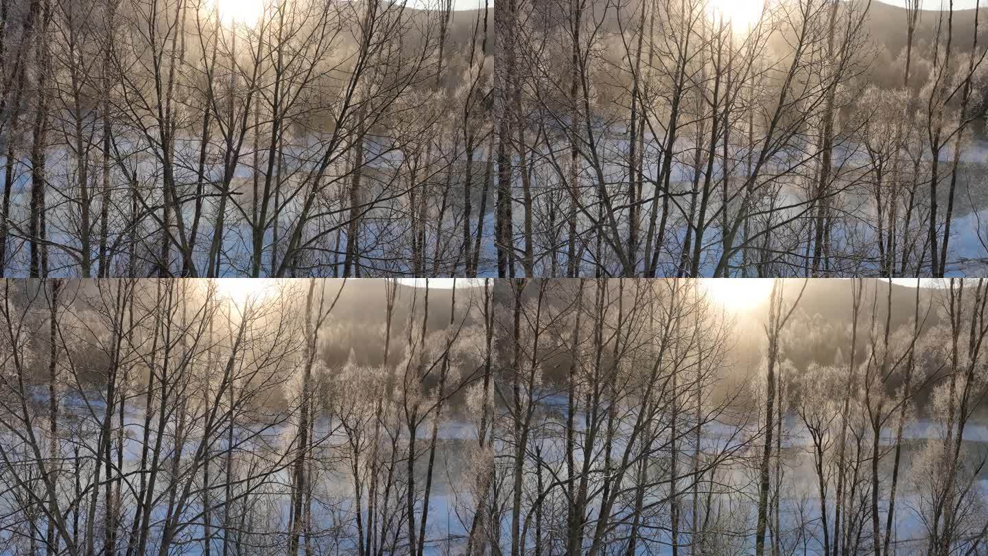 东北冰河晶莹树挂冻雾阳光